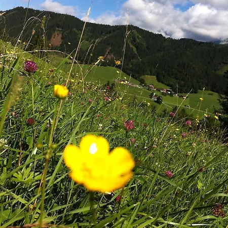 Goetschlhof ゲストハウス