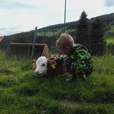 Goetschlhof 3* Schladming