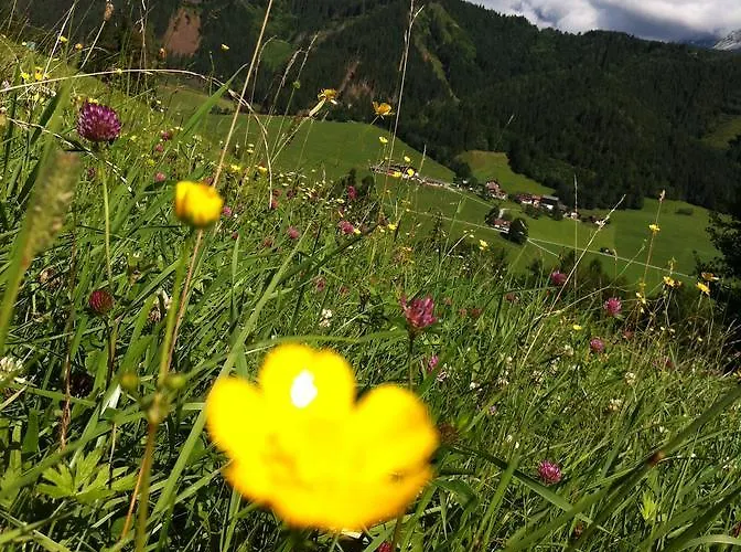 Goetschlhof Vendégház